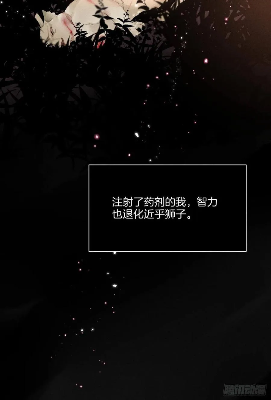 207话：破碎梦境 第14页