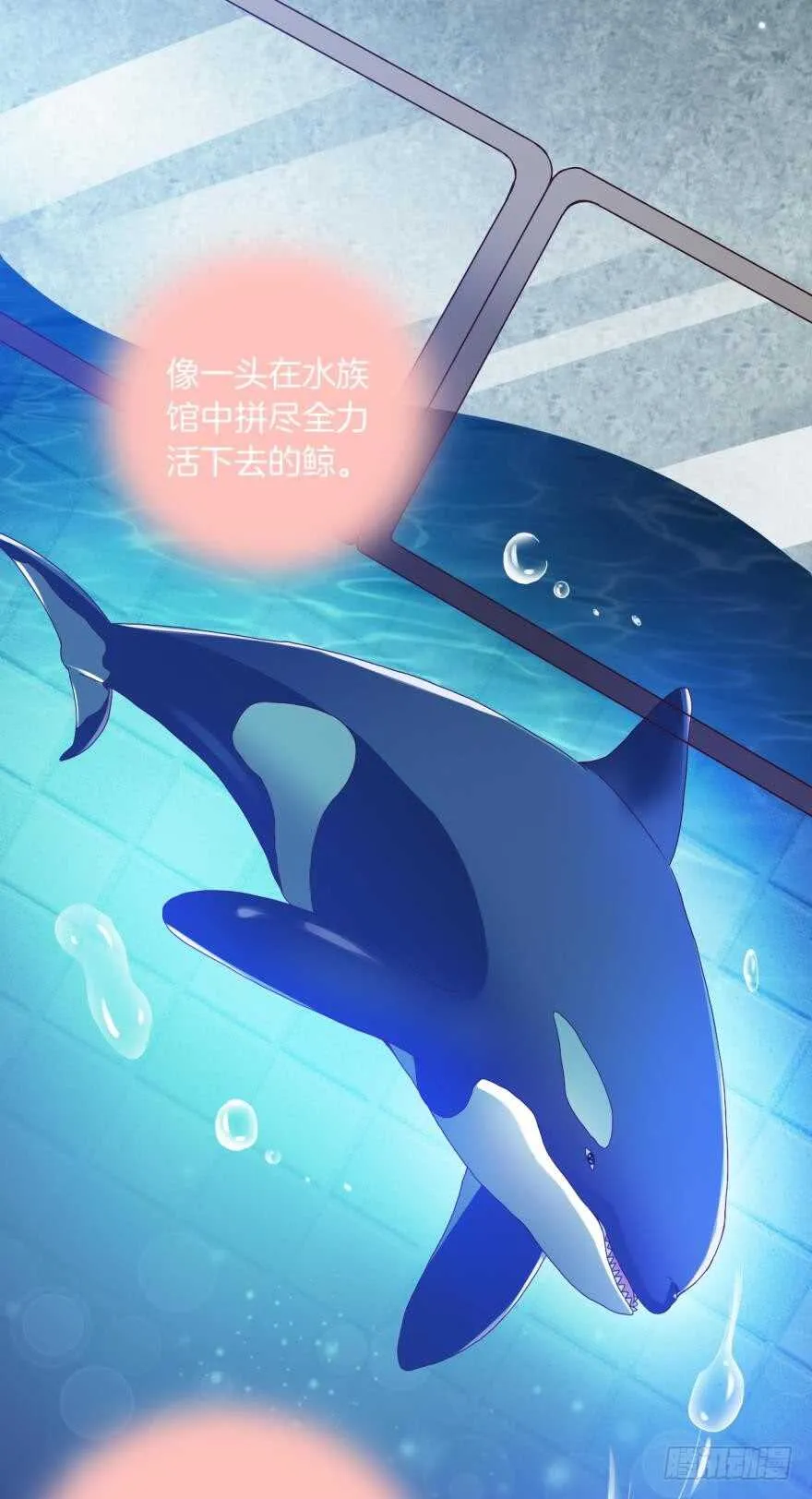 虎鲸番外：孤鲸（下） 第34页