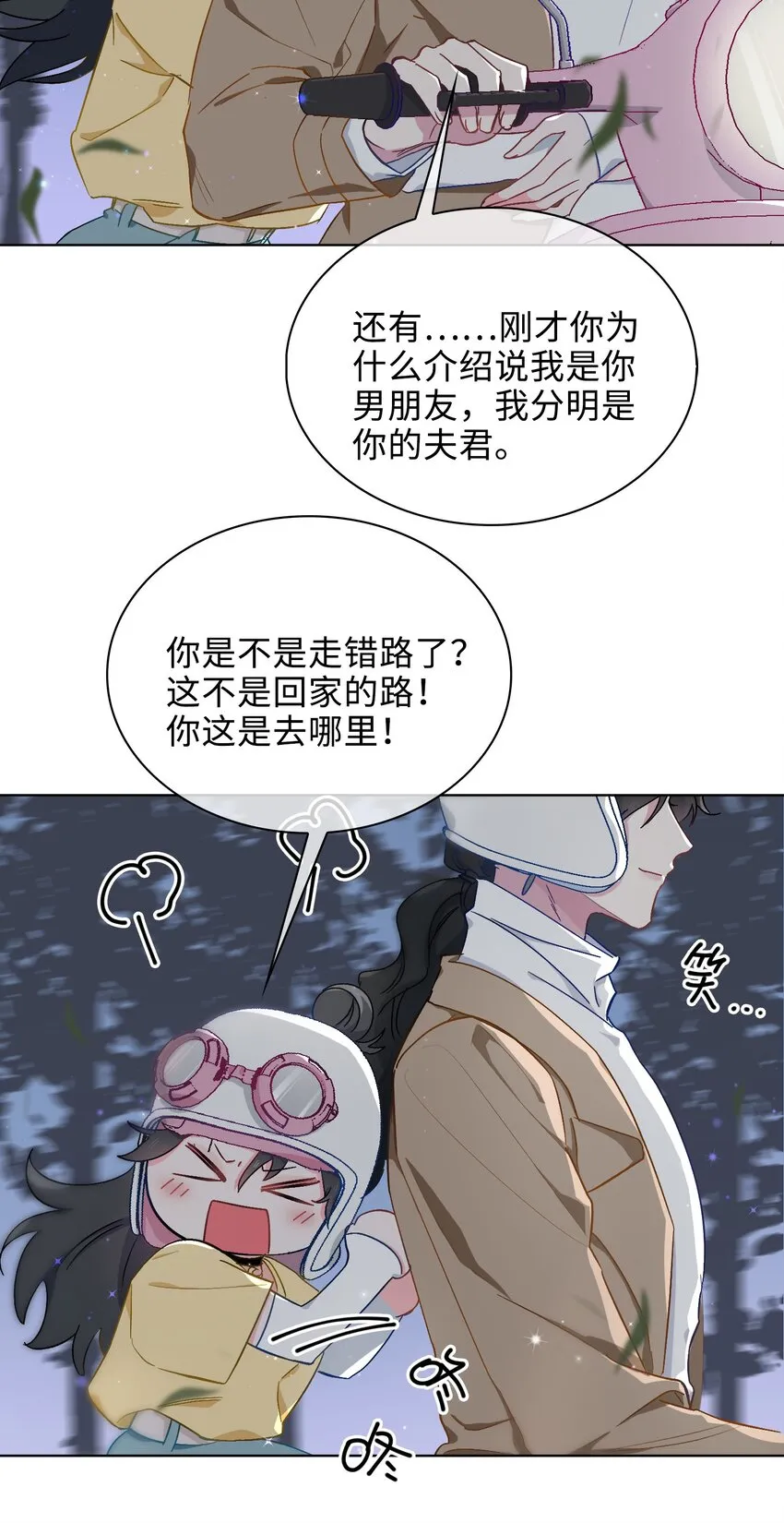 41 叶子的秘密 第12页