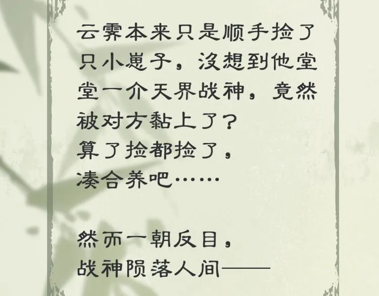 预热 养成系忠犬×暴娇战神 第3页