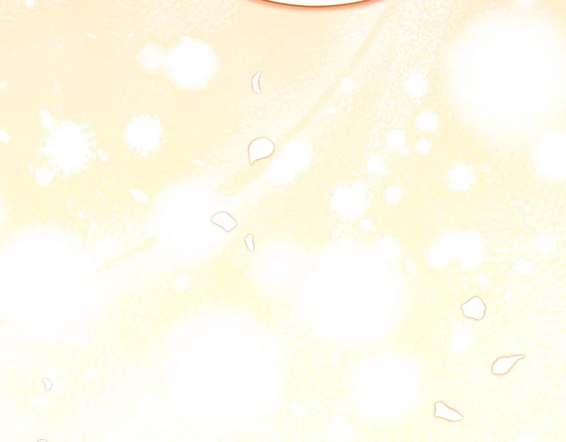 第246话 热闹的婚礼 第217页