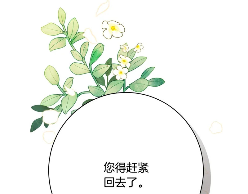 第247话 手捧花争夺战 第224页
