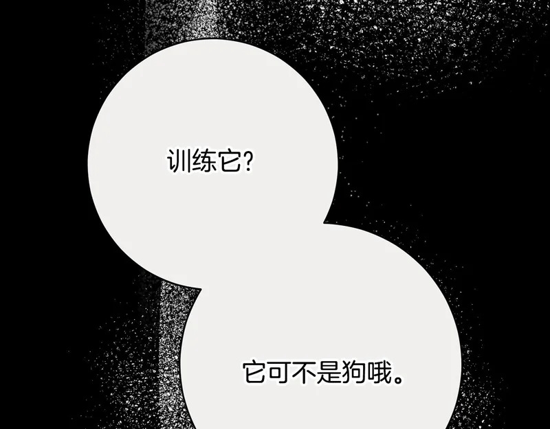 第255话 训练泰拉 第75页