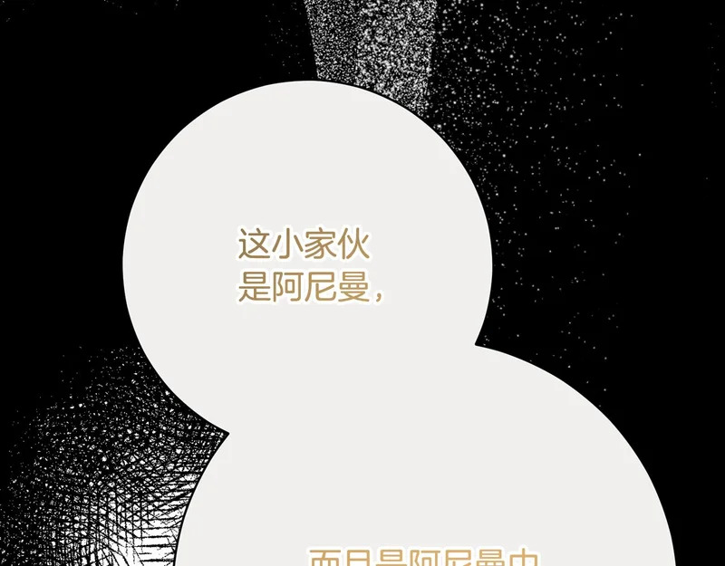 第255话 训练泰拉 第78页