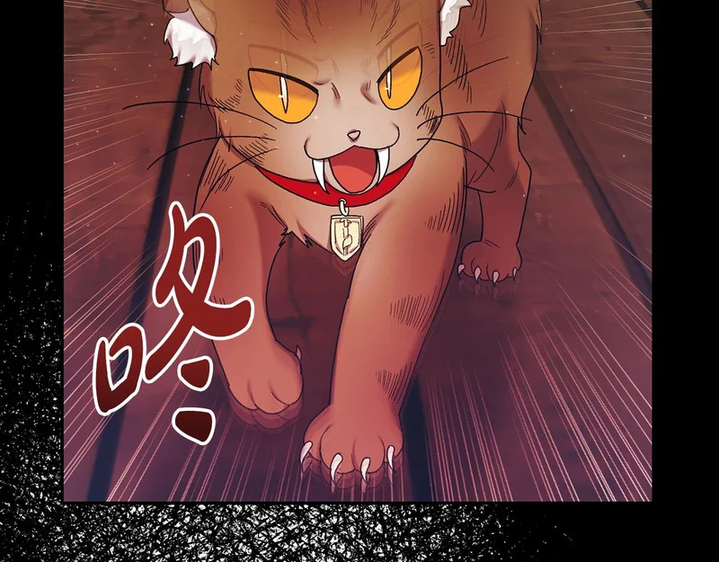 第255话 训练泰拉 第89页