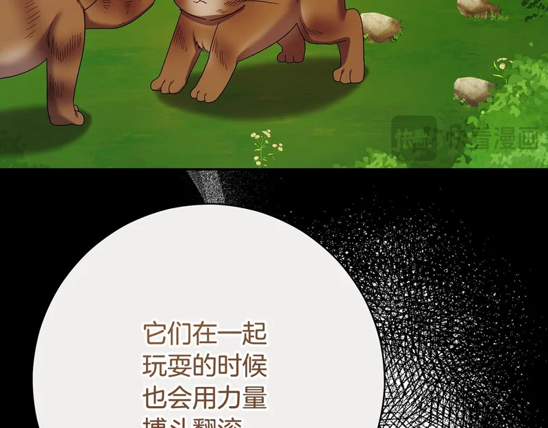 第255话 训练泰拉 第93页