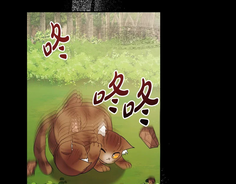 第255话 训练泰拉 第101页