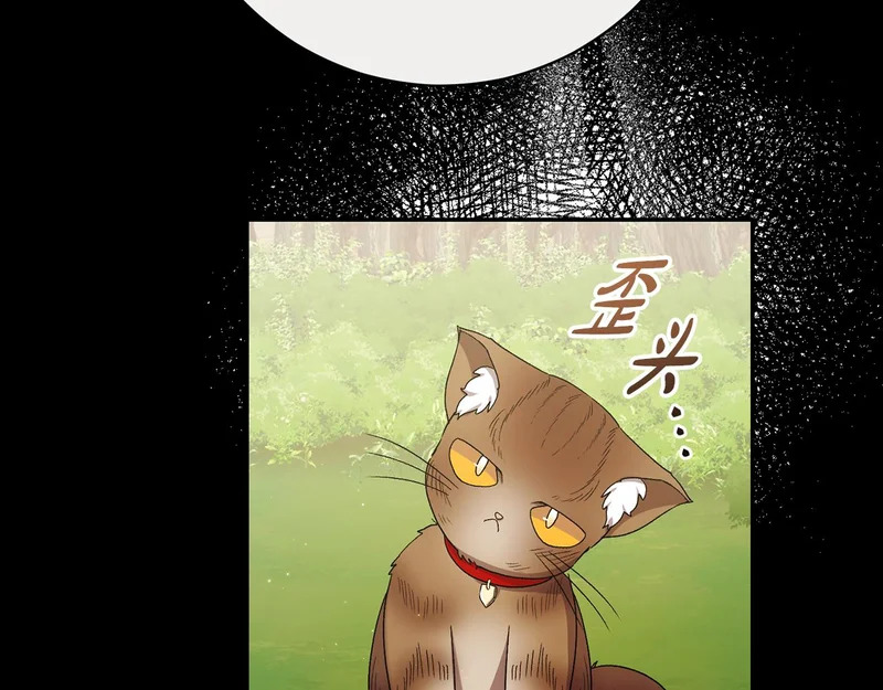 第255话 训练泰拉 第103页