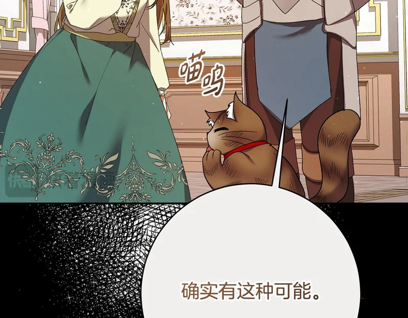 第255话 训练泰拉 第114页
