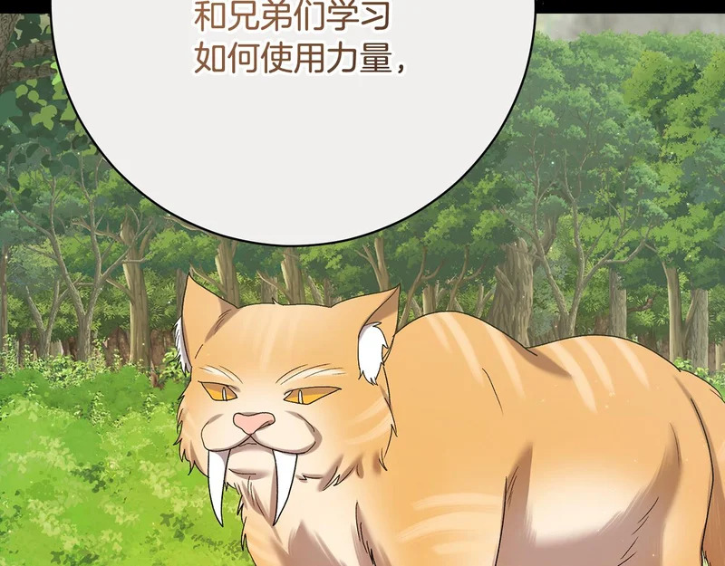 第255话 训练泰拉 第125页