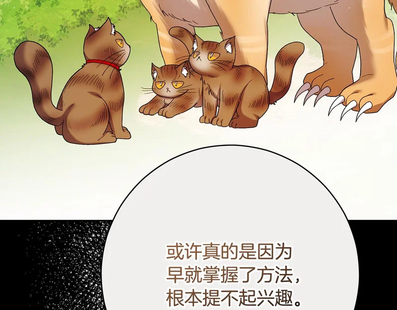 第255话 训练泰拉 第126页