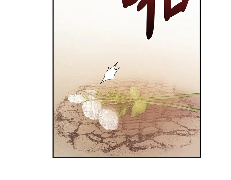第257话 深藏不露的泰拉 第21页
