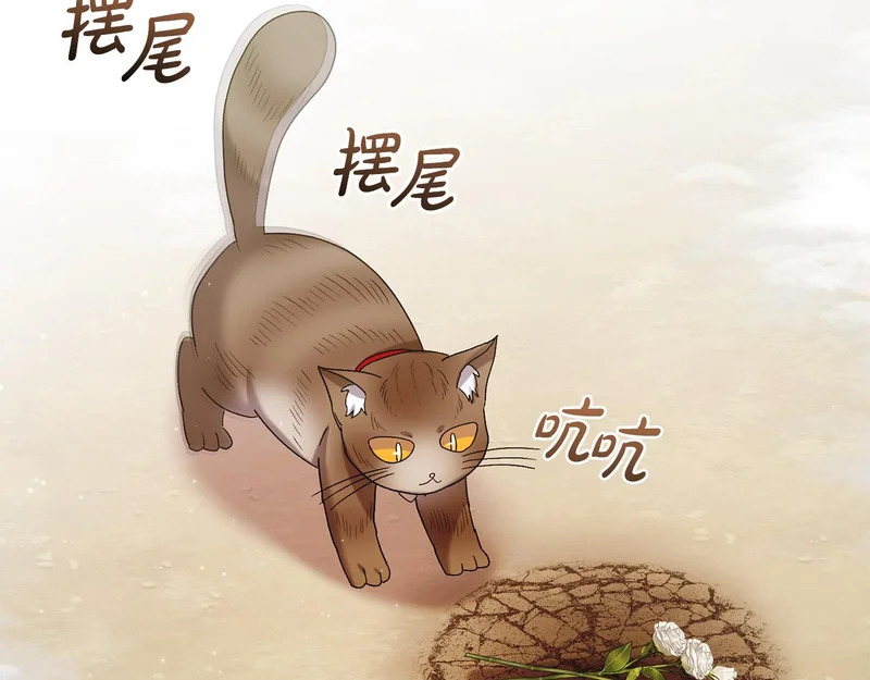 第257话 深藏不露的泰拉 第27页