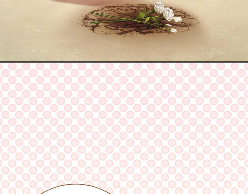 第257话 深藏不露的泰拉 第33页