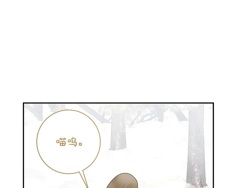 第257话 深藏不露的泰拉 第37页