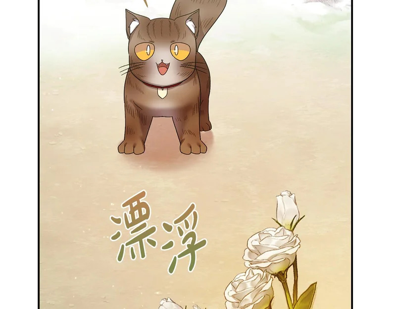 第257话 深藏不露的泰拉 第38页