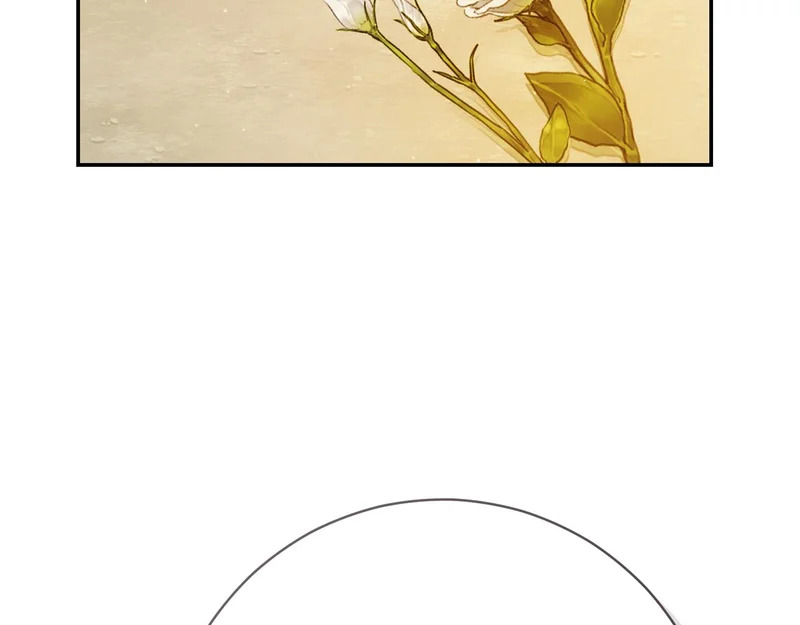 第257话 深藏不露的泰拉 第39页