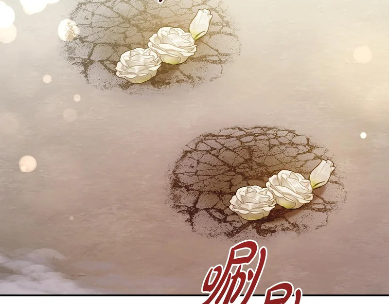第257话 深藏不露的泰拉 第51页