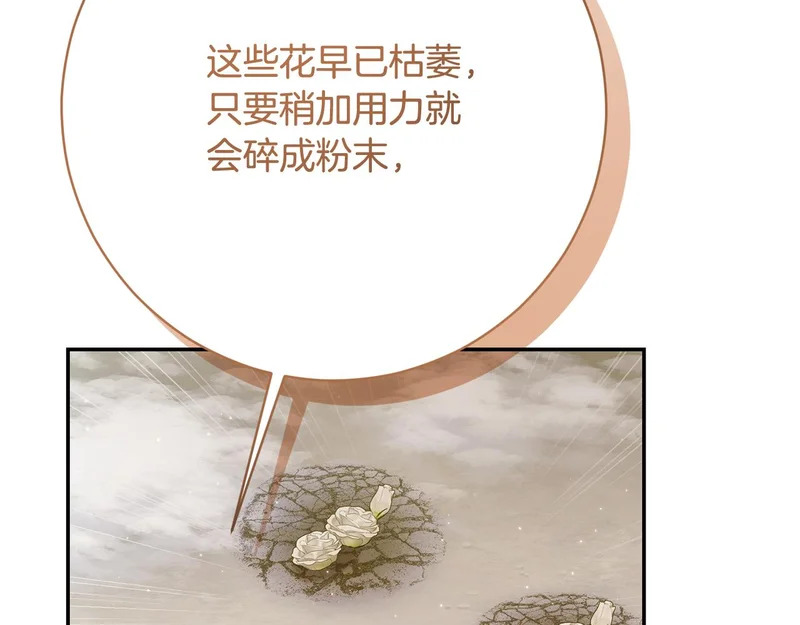 第257话 深藏不露的泰拉 第56页