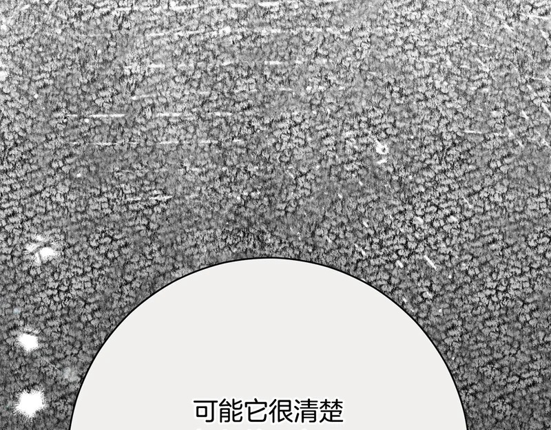 第257话 深藏不露的泰拉 第63页