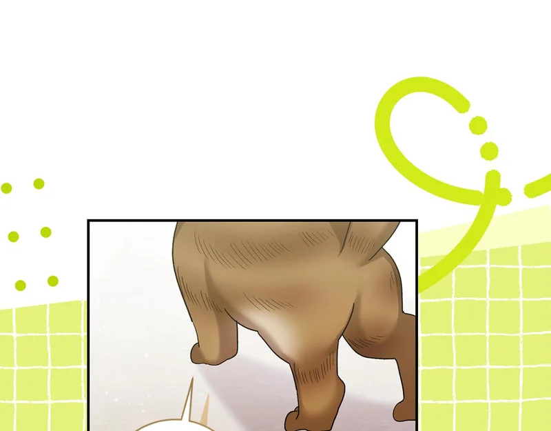 第257话 深藏不露的泰拉 第74页