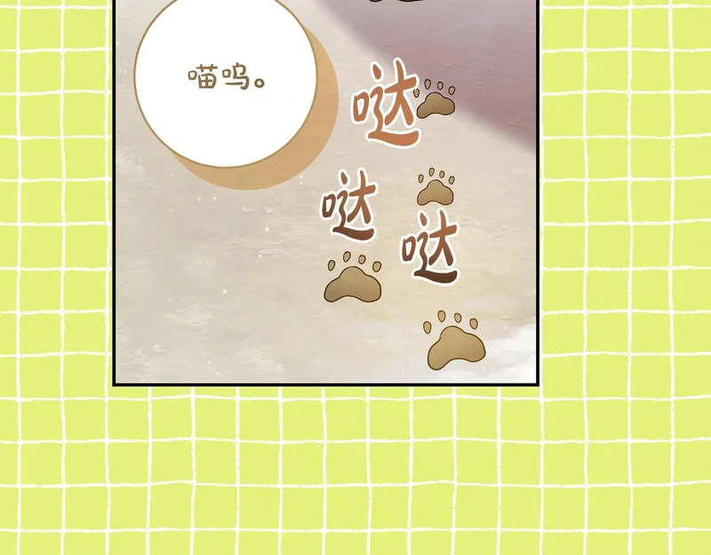 第257话 深藏不露的泰拉 第75页