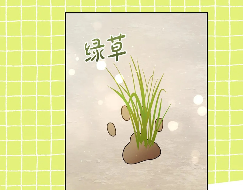 第257话 深藏不露的泰拉 第76页