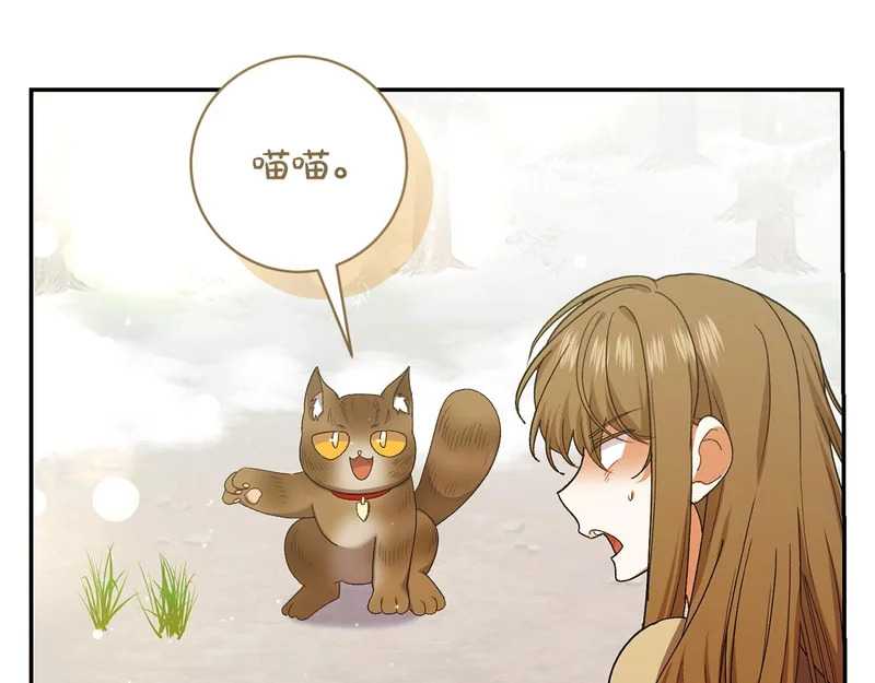 第257话 深藏不露的泰拉 第78页