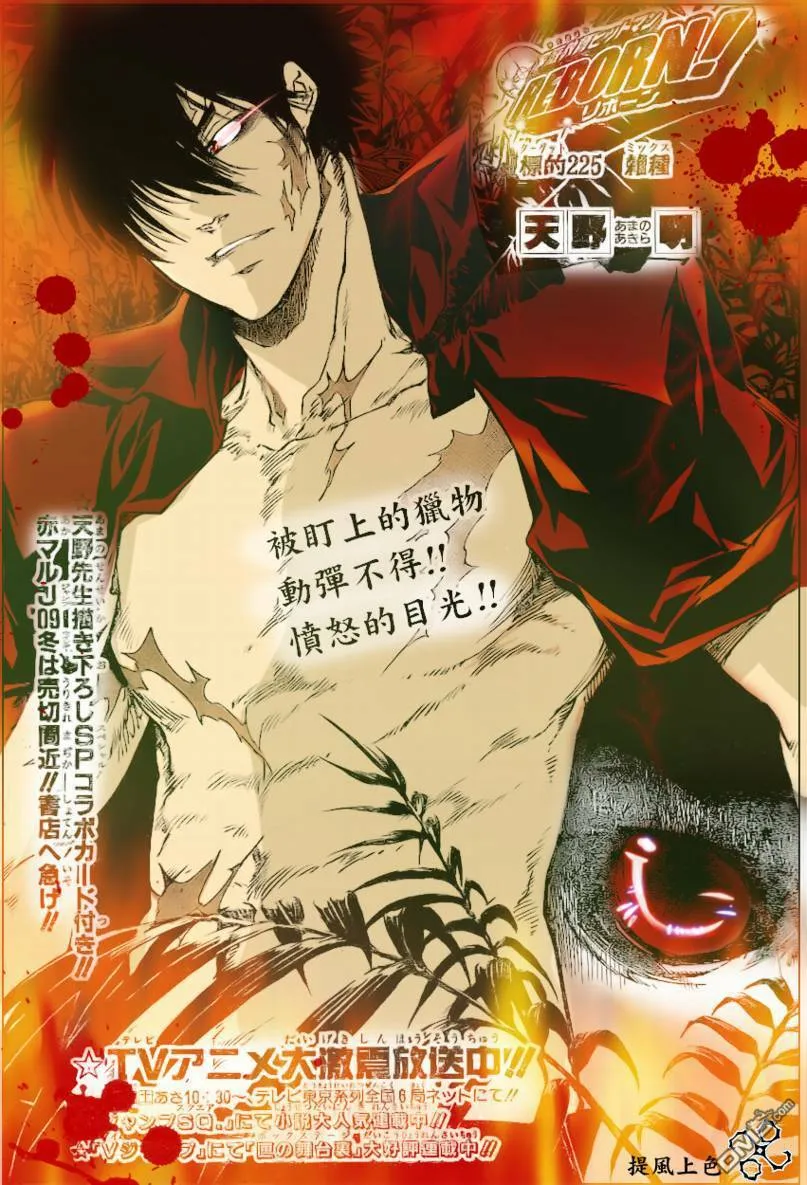 第224话  第17页