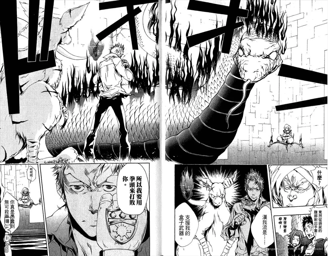 第21卷  第20页
