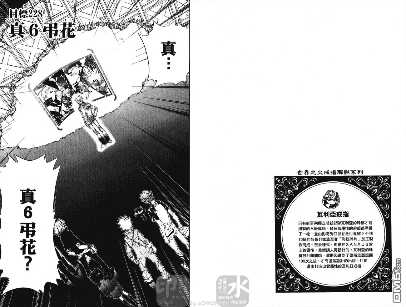 第25卷  第13页