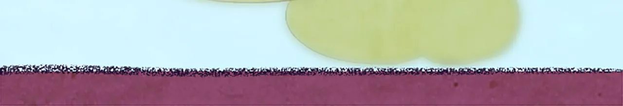 第13话 雪中盛开的兰花 第94页