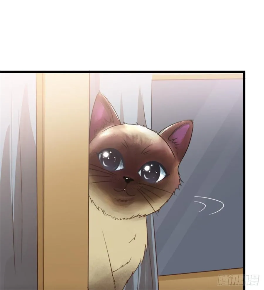 第44话 初生情愫 第53页