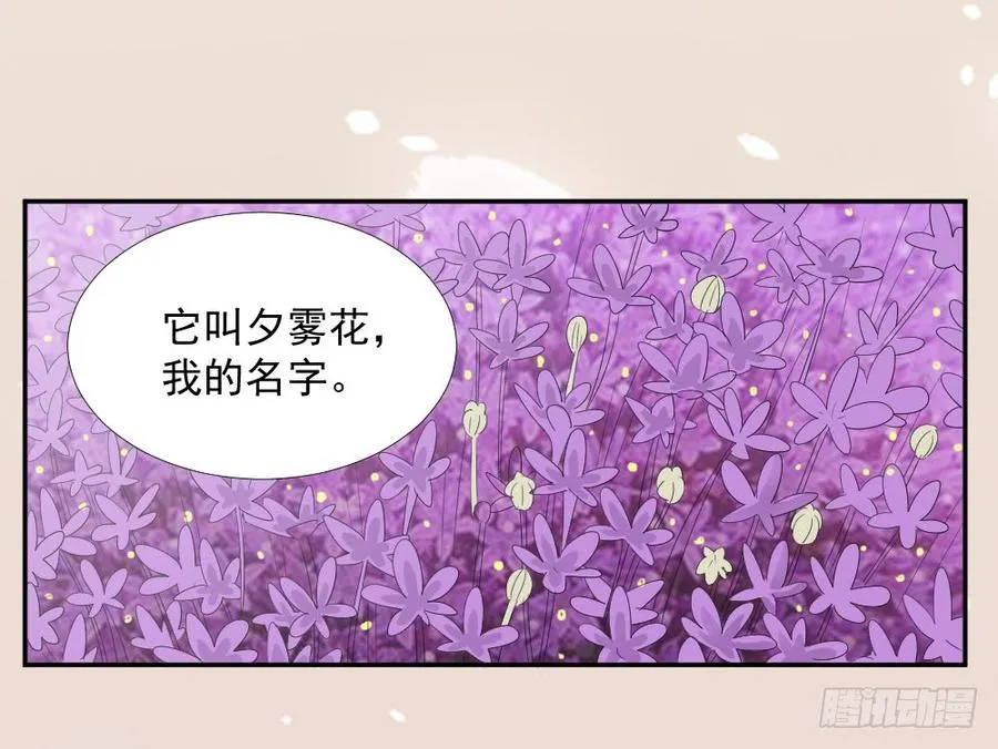 第23话 你的夕雾花 第31页