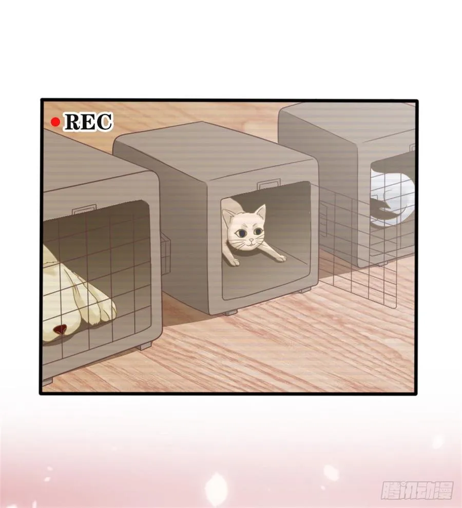 第39话 小可爱 第37页