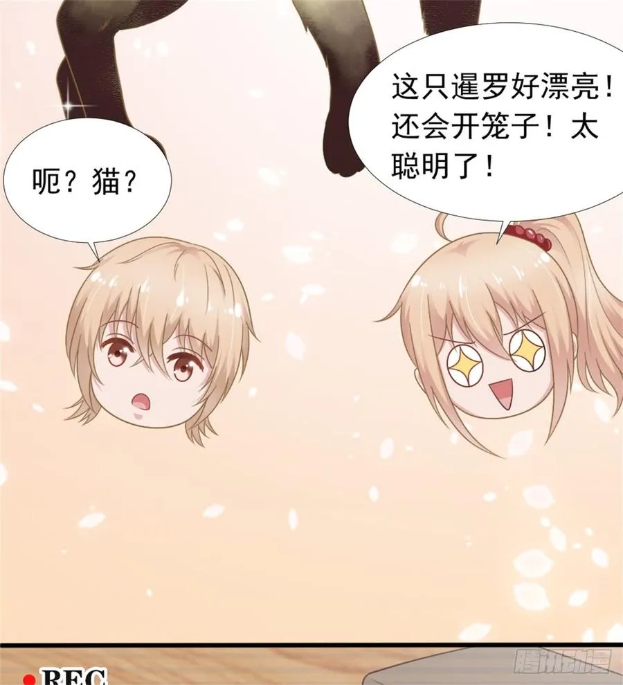 第39话 小可爱 第39页