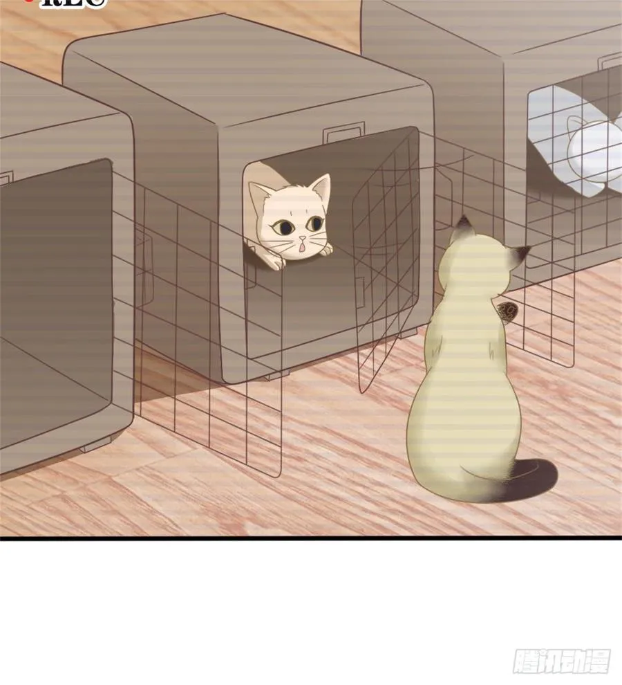 第39话 小可爱 第40页