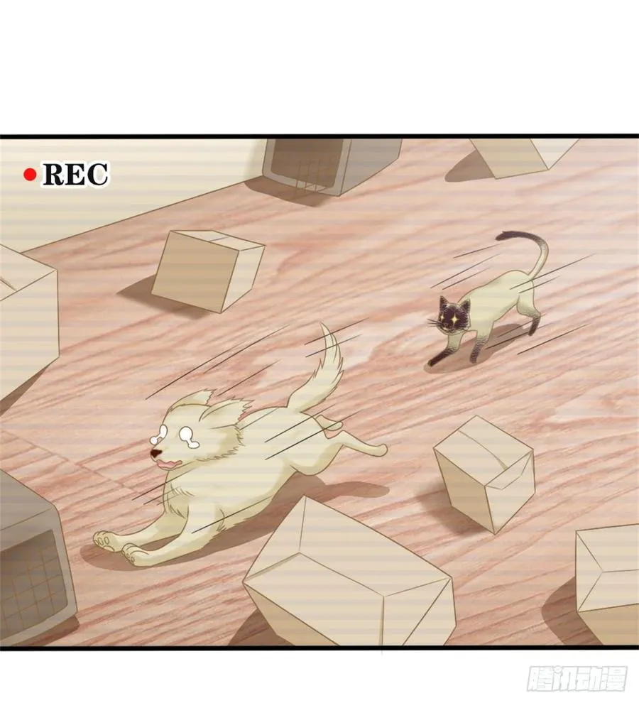 第39话 小可爱 第41页