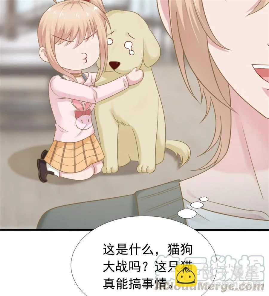 第39话 小可爱 第43页