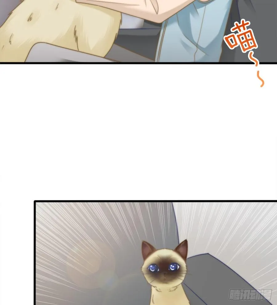 第41话 只能为了你 第12页