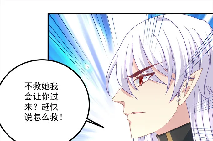 王的眼泪 第37页
