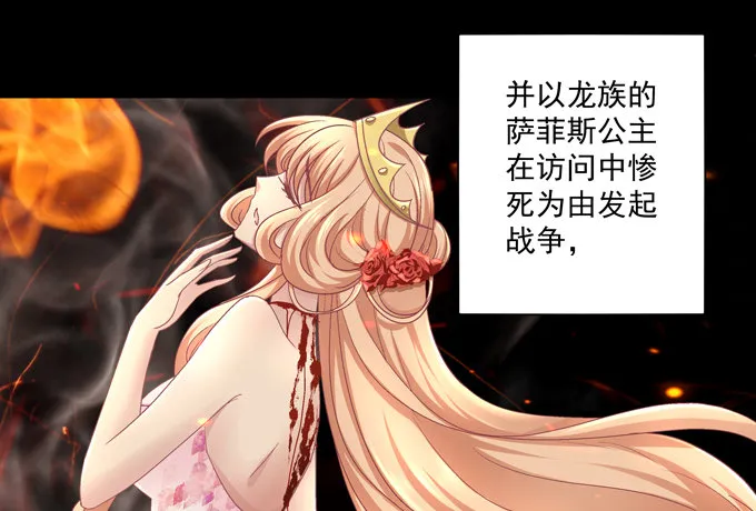 穿女仆装的保镖 第12页