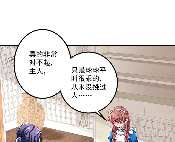 穿女仆装的保镖 第24页