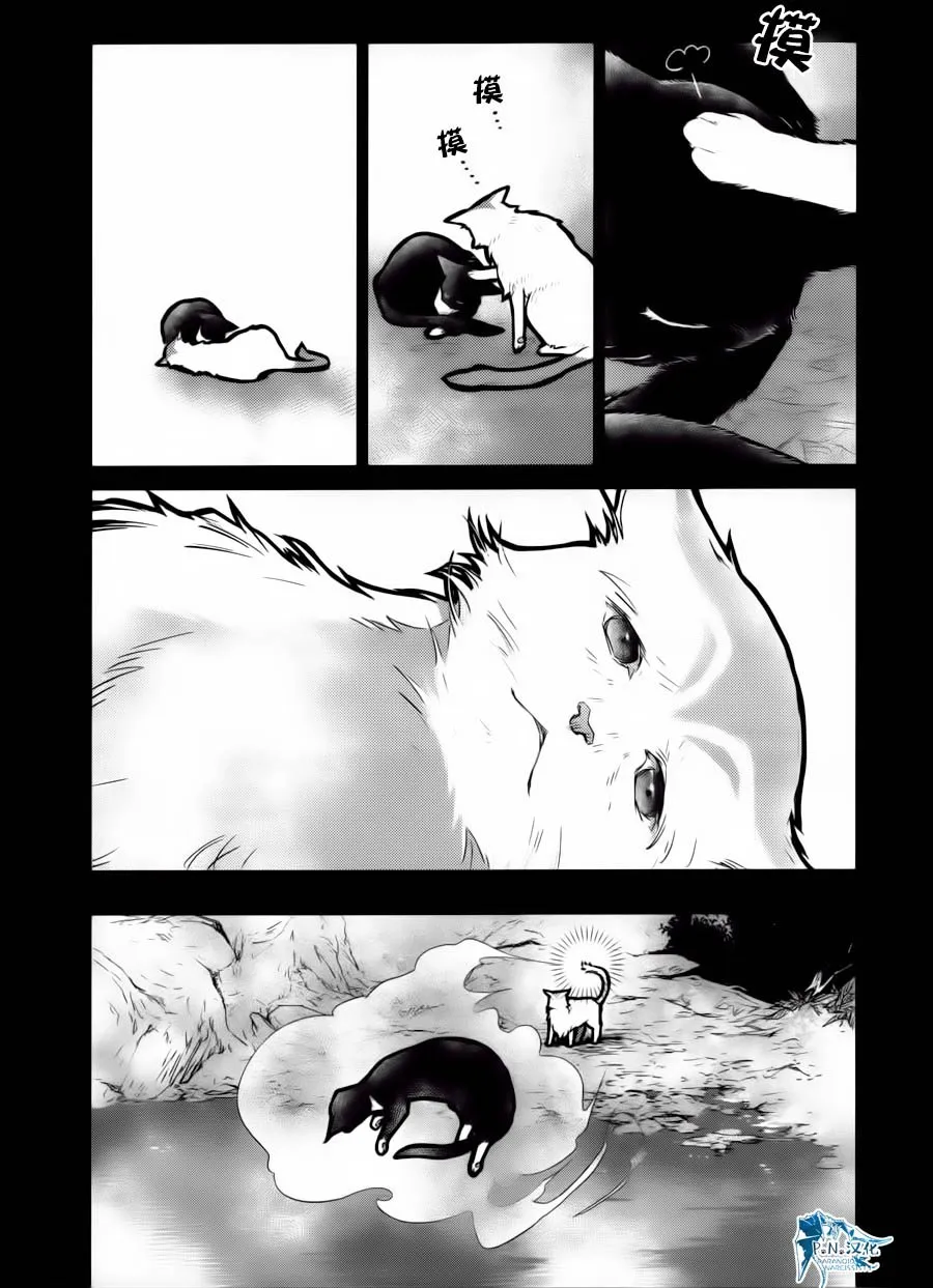 15话 第29页