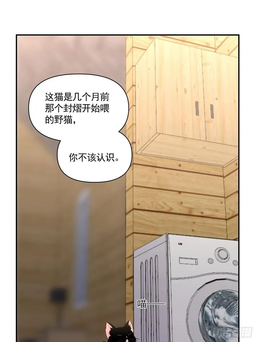 49 一起收养 第17页