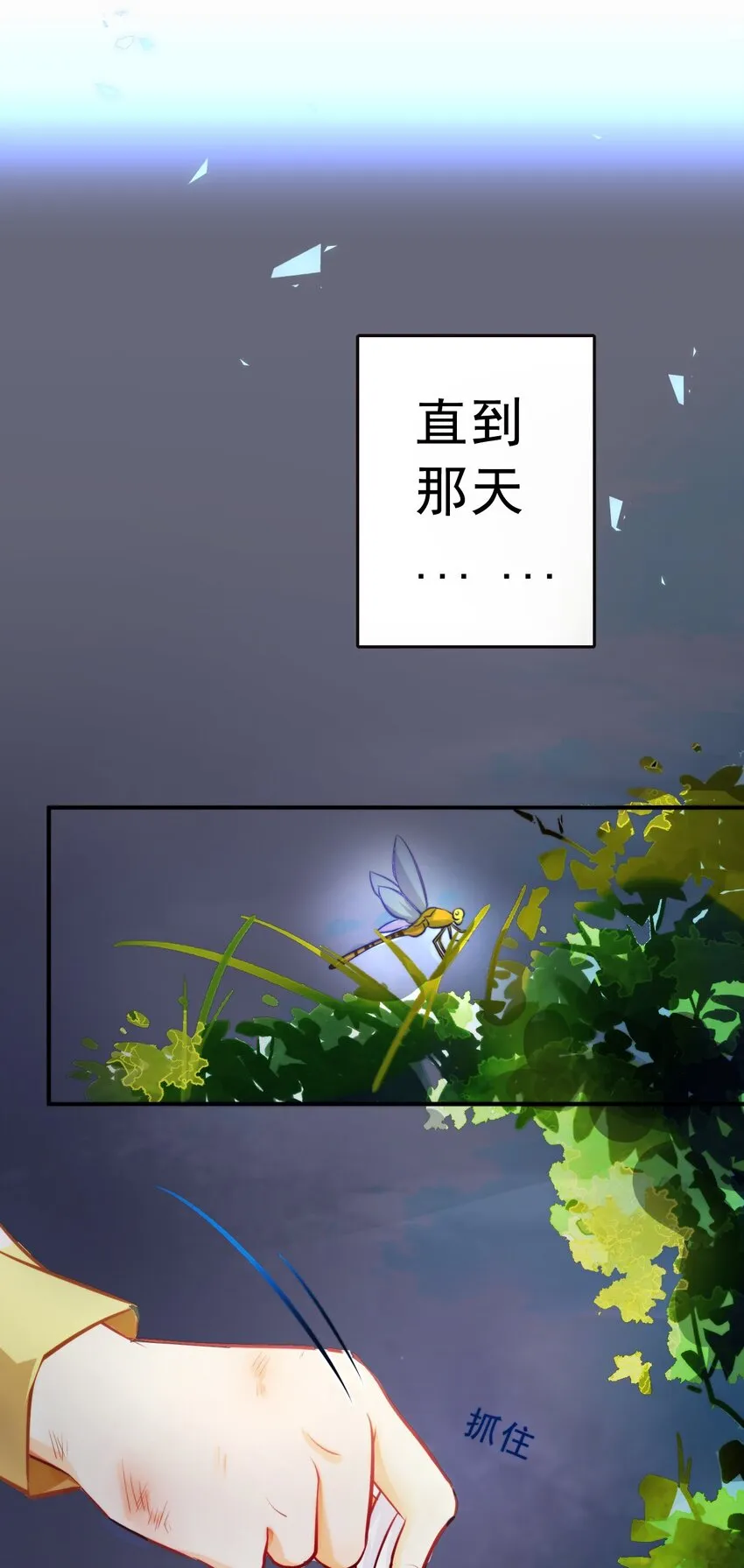 4 一个创可贴 第25页
