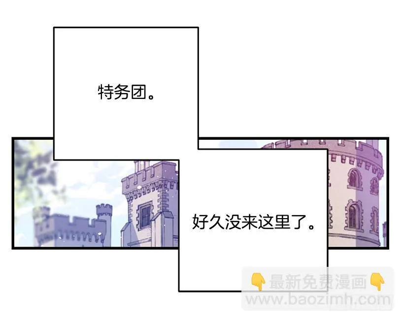 特务团团长 第53页