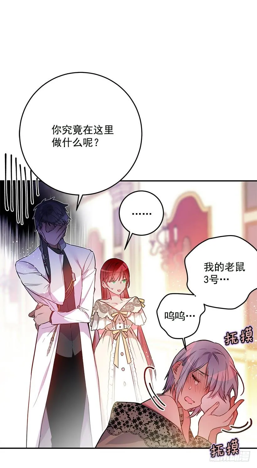 你不怕我吗 第3页