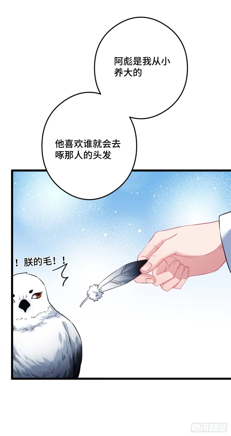 第90话 秃头的原因 第13页