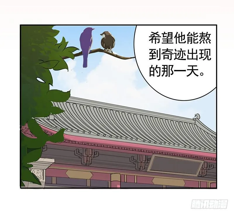 等一个奇迹出现 第17页